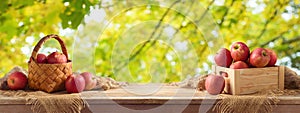 Red apples in wooden box and in basket on table. Autumn and fall harvest background