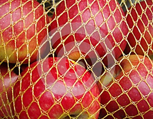 Red apples in yellow net