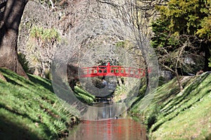 Red arched bridge over stream in botanical gardens