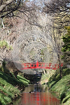 Red arched bridge over stream in botanical gardens