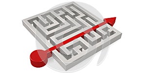 Red arrow across labyrinth isolated