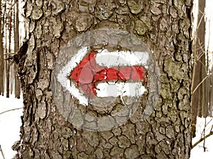 Red arrow  touristic mark on tree trunk rugger bark in snowy winter deciduous wood. Detail of arrow touristic path sign. Left photo