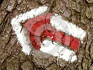 Red arrow  touristic mark on tree trunk rugger bark in snowy winter deciduous wood. Detail of arrow touristic path sign. Left photo