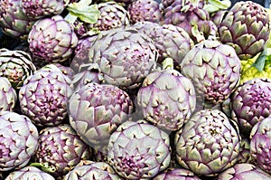 Red artichokes on display