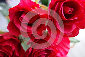 Red artificial roses