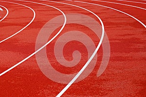 Red artificial running track with white round lines, treadmill rubber texture