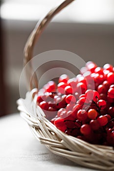 Red ash in basket