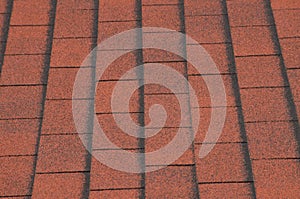 Red asphalt shingles on house