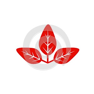 Red autmn leaf vector