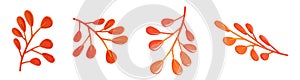 Red autumn leaf 3d render illustration