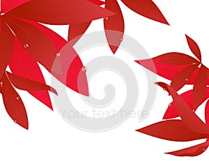 Red autumn leaf branch