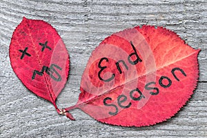 Red autumn leaf with disgust face showing tongue and leaf with the inscription END SEASON