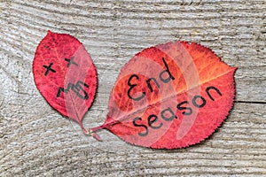 Red autumn leaf with sad face showing tongue and leaf with the inscription END SEASON