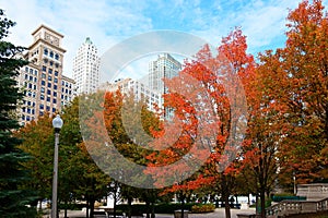 Red Autumn Leaves, Chicago