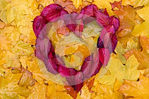 Red autumn leaves form a heart before yellow autumn leaves, for background