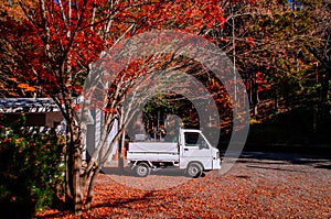 Red autumn maple and white pickup truck at Chureito Pagoda Arakurayama Sengen Park - Fujiyoshida