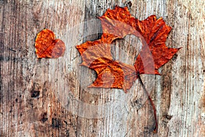 A red autumn sheet with heart on a wooden subsoil photo