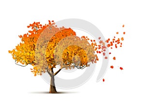 Red autumn tree isolated with maple leaves falling, 3D illustration