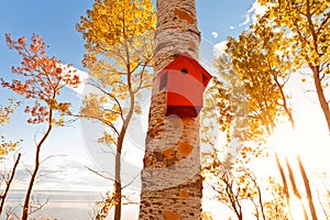 Red aviary, bird house photo