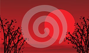 On red background bamboo scenery