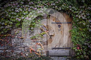 Red background of old vintage brick wall texture. Close-up view of a stone brick wall with grapes curling on the wall.