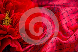 red background with red roses net