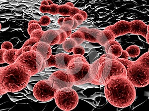 red bacteria