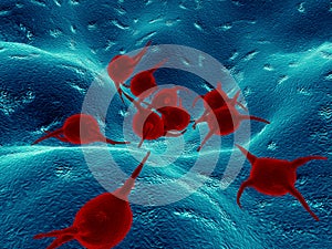 Red bacteria - 3D illustration
