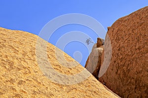 Red bald granite peaks, one green dried tree, blue sky background, ancient orange rocks, natural yellow stones, Swakopmund