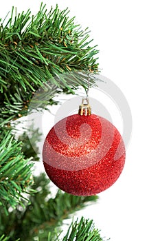 Red ball on the branch of a Christmas tree on white background