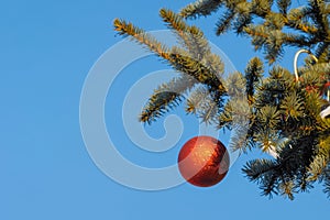 Red ball on Christmas tree branch on street - new year concept