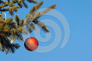 Red ball on Christmas tree branch on street - new year concept