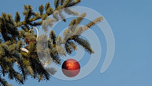 Red ball on Christmas tree branch on street - new year concept