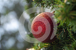 red ball with fake pine tree