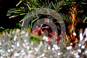 A red ball in the fir tree