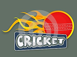 Red ball in flame with text for cricket concept.