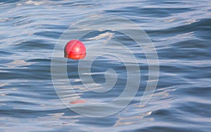 A red ball floats on the surface of the water