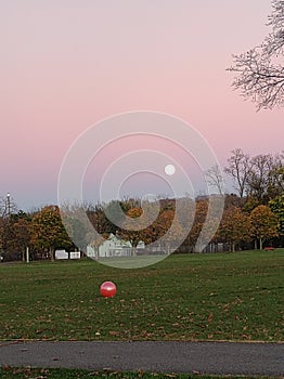 Red ball full moon park grass trees nature