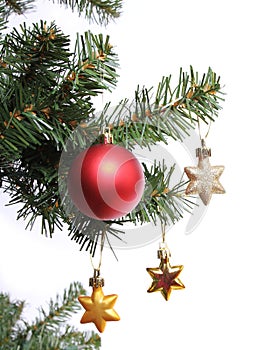 Red ball and gold stars on Christmas tree branch