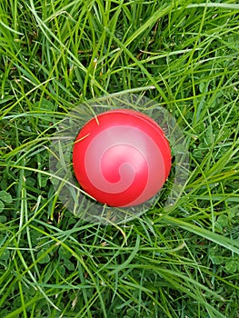 Red ball on grass