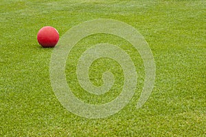 Red Ball on Green Field photo