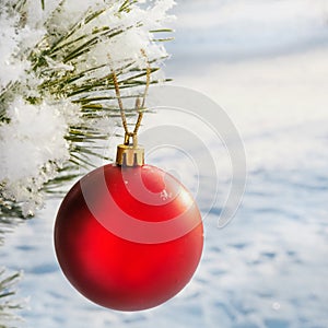 A red ball hangs on a snow-covered fir branch. There are large snowflakes. New Year and Christmas concept