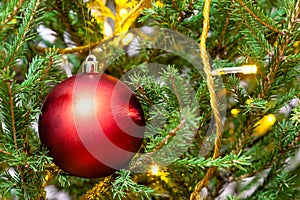 red ball and light string on twigs of xmas tree