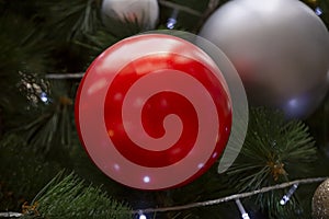 Red ball ornament on Christmas tree