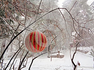 Red Ball Ornament in the Snow