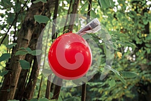 Red balloon with note attached to it as part of a scavenger hunt or paper trail game hanging on tree