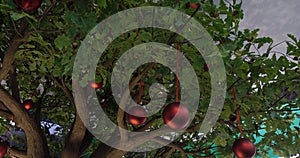 Red balls on a tree. The concept of a Christmas holiday.