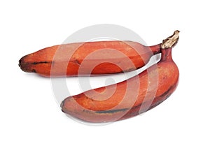 Red banana