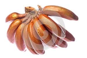 Red Bananas Isolated