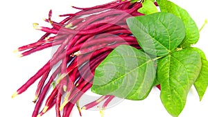 Red barbatti lal latara vegetable close up